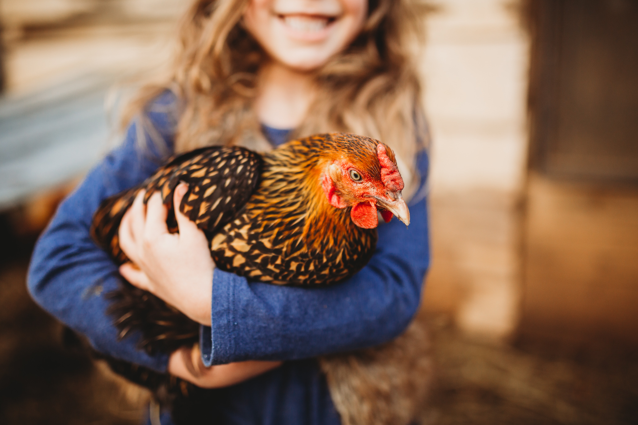 The Best Egg Laying Chickens That Are Kid-friendly