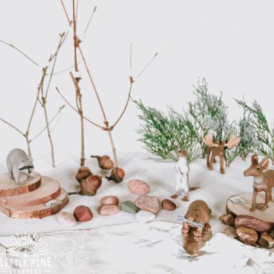 Beautiful Winter Nature Crafts and Activities for Kids