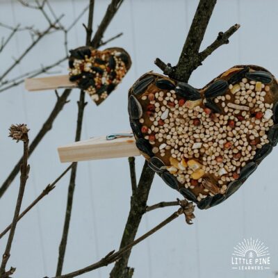 Simple and Beautiful Spring Nature Crafts